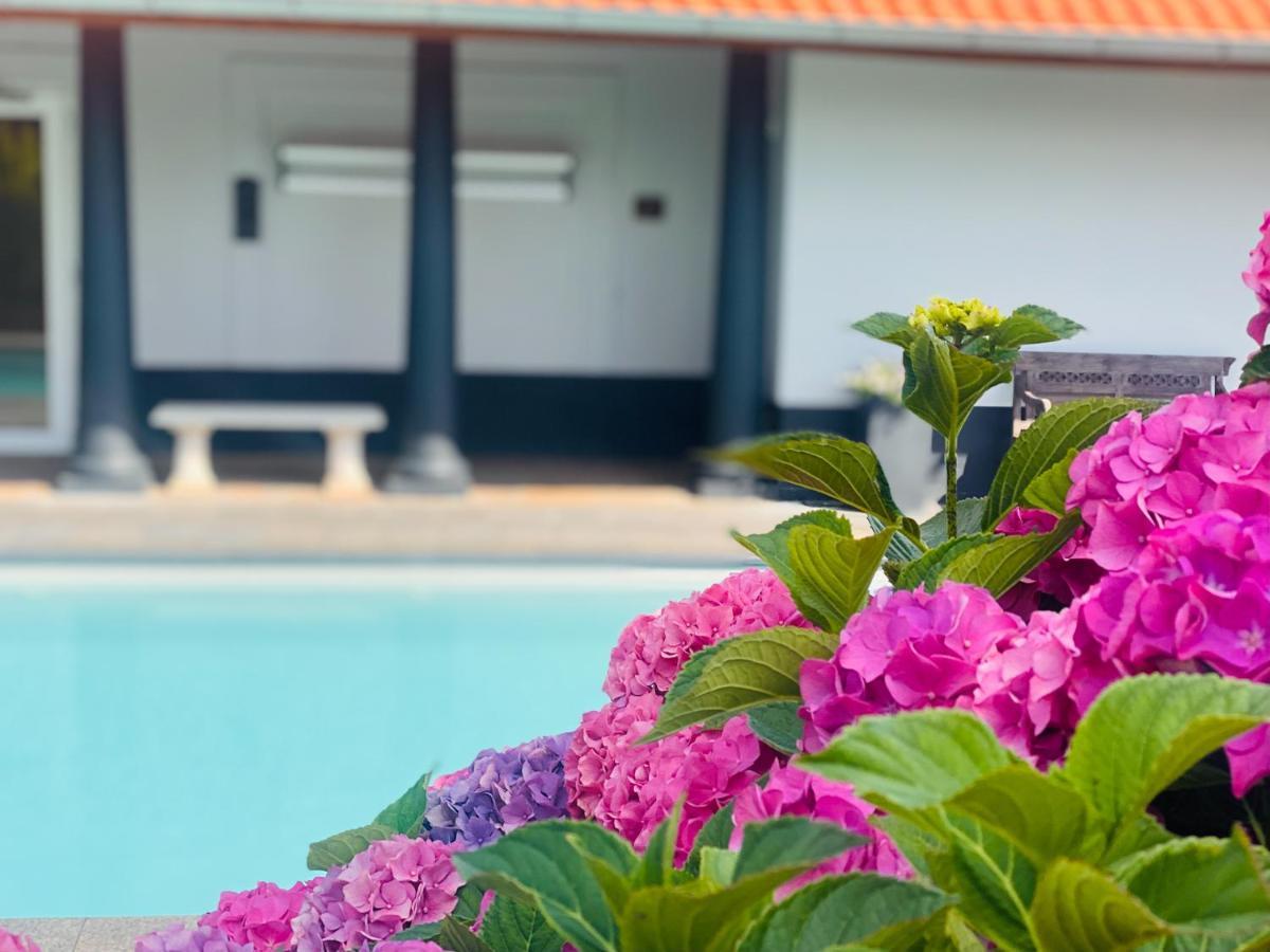 Wellnesshotel Spabron Wachtum المظهر الخارجي الصورة